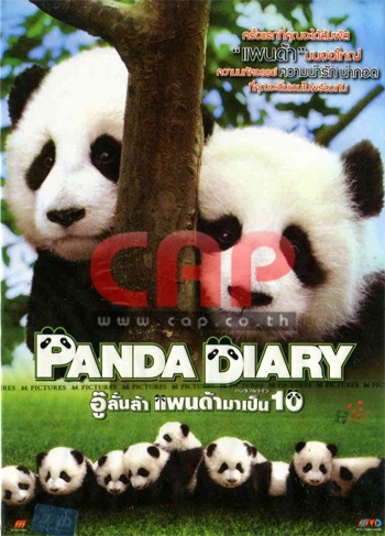 9146/Panda Diary.jpg